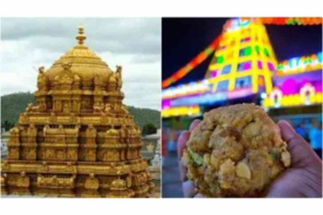 ತಿರುಪತಿ ಲಡ್ಡು ಪ್ರಸಾದ ವಿವಾದದ ಬಗ್ಗೆ ಕನ್ನಡ ನಟಿ ಅಸಮಾಧಾನ; ನೆಟ್ಟಿಗರ ಮೆಚ್ಚುಗೆ