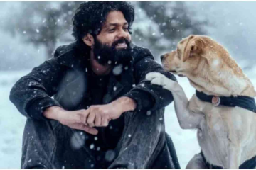 777 ಚಾರ್ಲಿ' ಚಿತ್ರದ ಬಜೆಟ್, ಲಾಭದ ಪಿನ್ ಟು ಪಿನ್ ಲೆಕ್ಕ ಕೊಟ್ಟ ಕಿರಣ್ ರಾಜ್